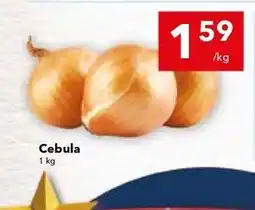 Lewiatan Cebula oferta