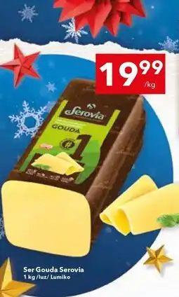 Lewiatan Ser Gouda Serovia oferta