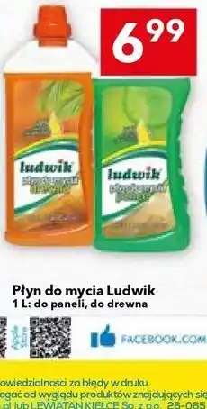 Lewiatan Płyn do mycia Ludwik 1 L: do paneli, do drewna oferta