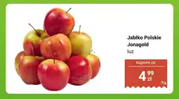 Biedronka Jabłko Polskie Jonagold luz Biedronka oferta