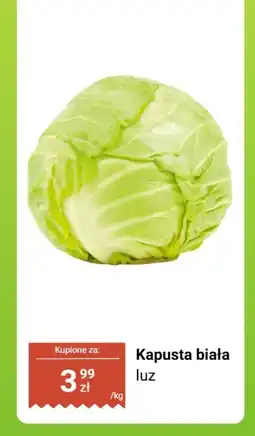 Biedronka Kapusta biała luz Biedronka oferta