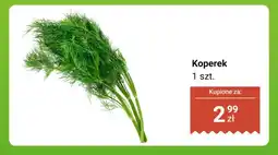 Biedronka Koperek Biedronka oferta
