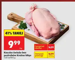 Biedronka Kaczka świeża bez podrobów Kraina Mięs oferta
