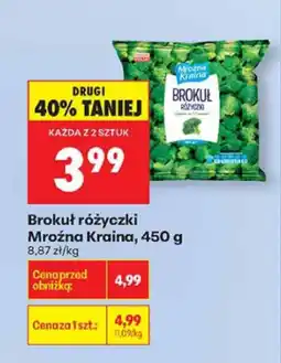 Biedronka Brokuł różyczkowy Mroźna Kraina, 450 g oferta