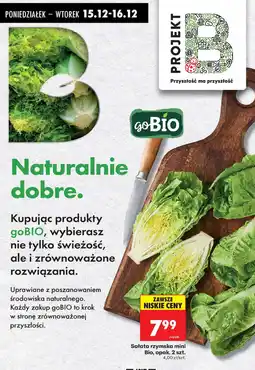 Biedronka Sałata rzymska mini Bio, opak. 2 szt. goBIO oferta