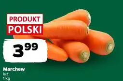 Netto marchew, luz oferta