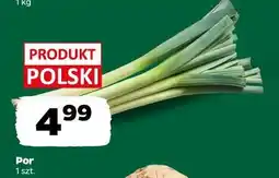Netto Por, 1 szt oferta