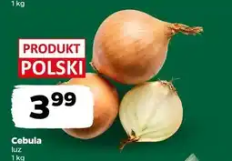 Netto Cebula, luz oferta