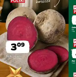 Netto Burak czerwony oferta