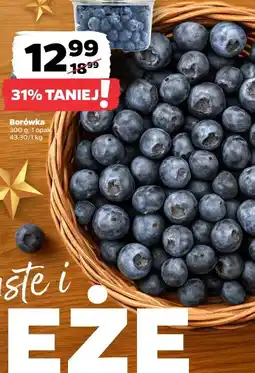 Netto Borówka oferta
