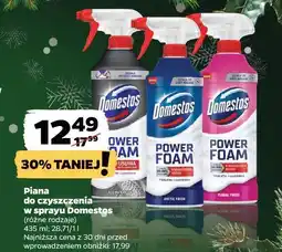 Netto Pianka do czyszczenia w sprayu Domestos oferta