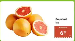 Dino Grapefruit luz Dino oferta