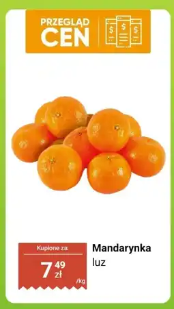 Dino Mandarynka luz Dino oferta