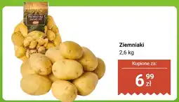 Dino Ziemniaki jadalne Dino oferta