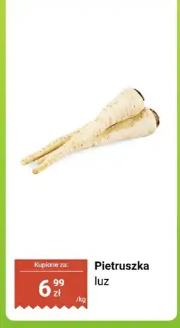 Dino Pietruszka luz Dino oferta