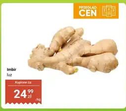 Dino Imbir świeży luz Dino oferta