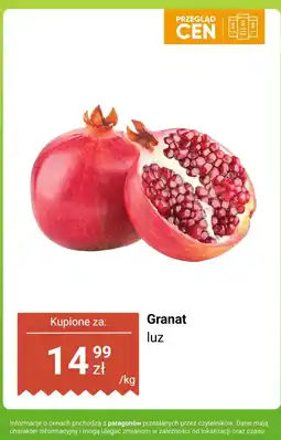 Dino Granat luz Dino oferta