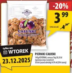 Arhelan Pierniki Caluski Kopernik oferta