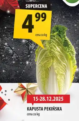 Arhelan Kapusta pekińska Arhelan oferta