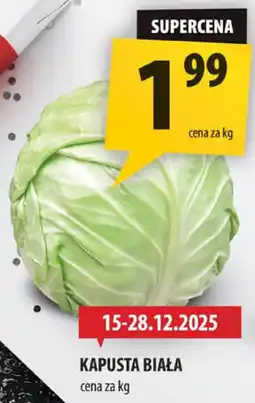 Arhelan Kapusta biała Arhelan oferta