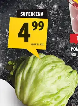 Arhelan Sałata lodowa Arhelan oferta