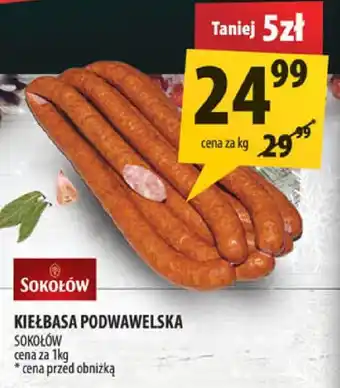 Arhelan Kiełbasa podwawelska Sokołów oferta