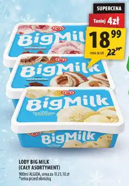 Arhelan Lody Big Milk (cały asortyment) oferta