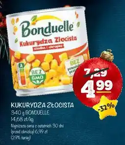 Arhelan Kukurydza złocista Bonduelle oferta