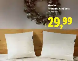 Lidl Wendre poduszka Aloe Vera oferta