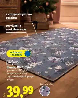 Lidl Dywan, 80 x 150 cm oferta