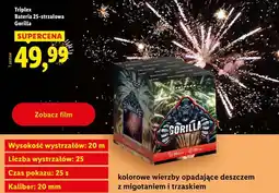Lidl Triplex, bateria 25-strzałowa Gorilla oferta