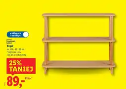 Lidl Regał oferta