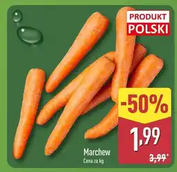 ALDI Marchew Aldi oferta