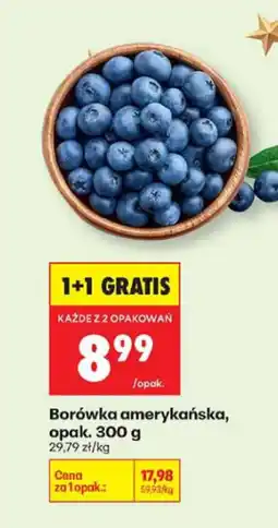 Biedronka Borówka amerykańska, opak. 300 g Biedronka oferta