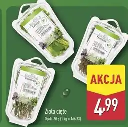 ALDI Rozmaryn Baziółka oferta