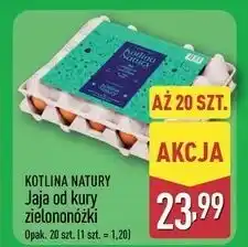 ALDI Jaja kury zielononózki Kotlina Natury oferta