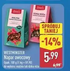 ALDI Napar dzika róża Westminster oferta