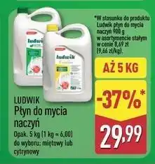 ALDI Płyn do naczyń cytrynowy Ludwik oferta