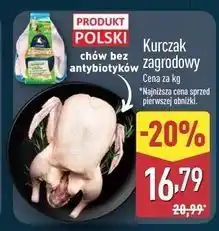 ALDI Kurczak zagrodowy Sedar oferta