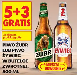 Biedronka Piwo Żubr lub Piwo Żywiec w butelce zwrtonej, 500 ml (5+3) oferta