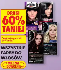 Biedronka Wszystkie farby do włosów oferta