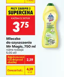 Biedronka Mleczko do czyszczenia Mr Magic, 750 ml oferta