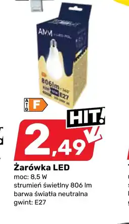 Bricomarche Żarówka E oferta