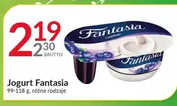 Eurocash Cash & Carry Jogurt Fantasia oferta