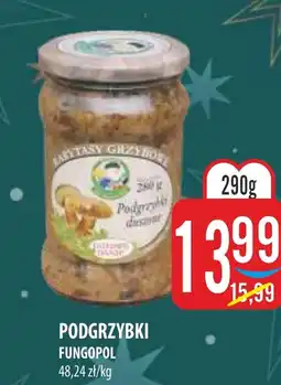 MOKPOL Podgrzybki Fungopol oferta