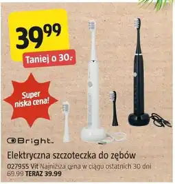 Jula Elektryczna szczoteczka do zębów (Bright) oferta