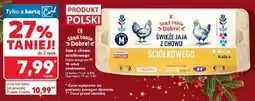 Kaufland Jaja świeże z chowu ściółkowego Stąd Takie Dobre klasa wagowa M oferta