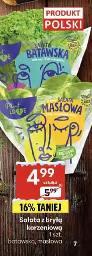 Delikatesy Centrum Sałata masłowa z bryłą korzeniową Batawska oferta