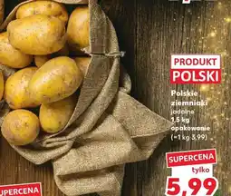Kaufland Ziemniaki jadalne polskie 1,5 kg Kaufland oferta