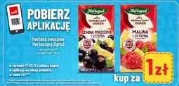 Polomarket Herbata owocowa Herbaciany Ogród Malina z cytryną Herbapol oferta